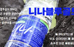 니나 블루골드